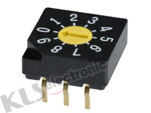 Dip Rotary Code Switch